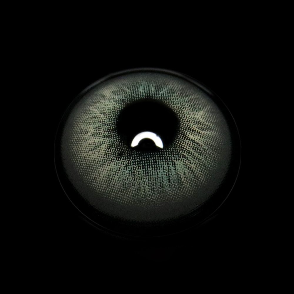 Renata Gray Colored Contact Lenses